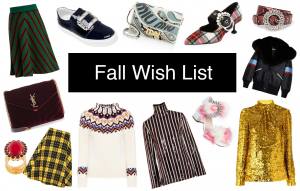 Anna Roufos Sosa of Noir Friday shares her fall wish list.